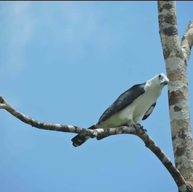 Cancún: Birds Photography Expedition with Transportation - The Sum Up: A Bird Photography Tour for Enthusiasts