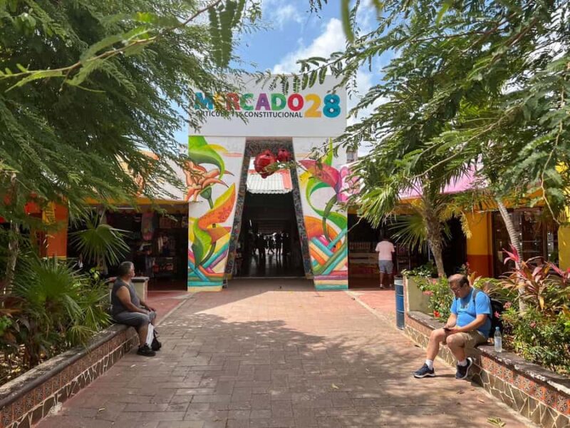 Cancun: Bus Tour - City Adventure around the Best Stops - Practical Details: Transportation, Guides, and Tips