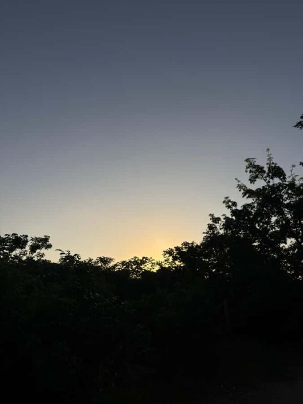 Cancun: Cenotes El Retoño entrance with transport, food, and guided tour. - Cancun: Cenotes El Retoño - A Well-Rounded Natural Escape