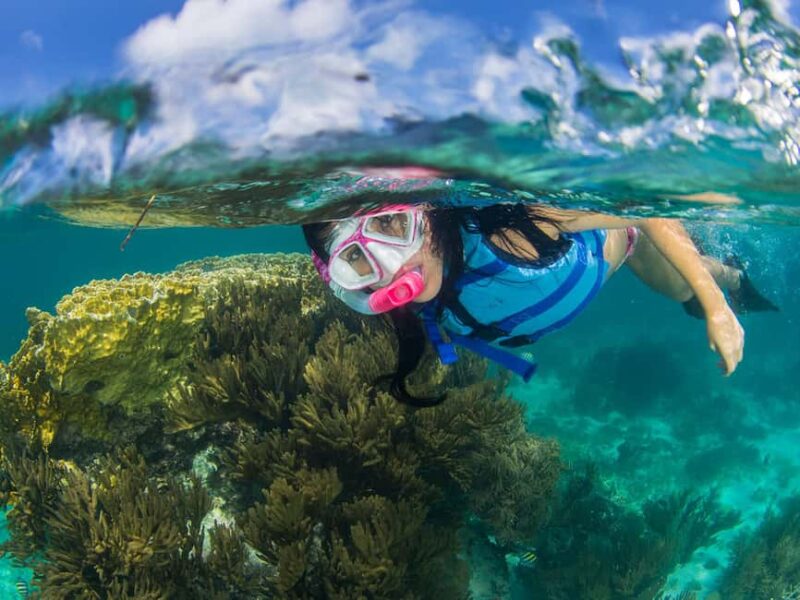 Cancun: Chichen Itza + Catamaran to Isla Mujeres combo in 2 days - Logistics: Meeting Points, Transportation, and Pacing