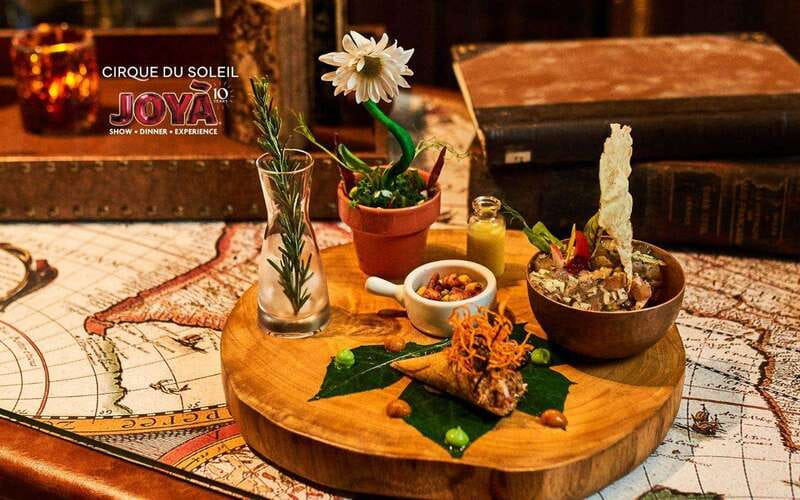 Cancún: Cirque du Soleil JOYÀ Entry Ticket and Transfer - The Show: Inspiration from Mexico’s Monarch Butterfly