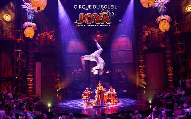 Cancún: Cirque du Soleil JOYÀ Show Ticket - The Show Duration and Pacing: What to Expect
