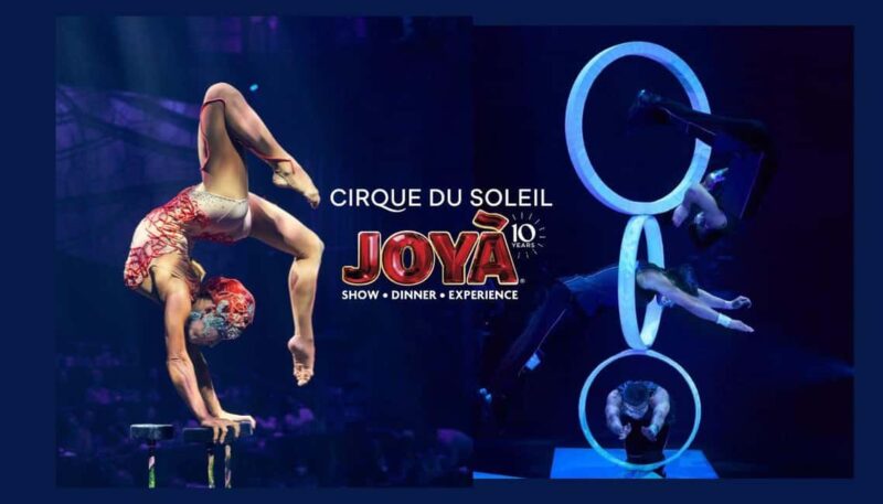 Cancún: Cirque du Soleil JOYÀ Show Ticket - Who Will Love the Cirque du Soleil JOYÀ Show?