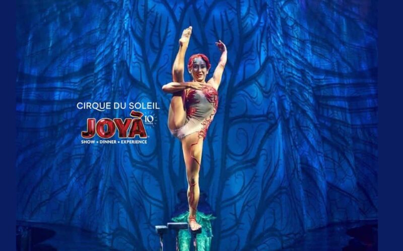 Cancún: Cirque du Soleil JOYÀ Ticket - Practical Details for Attendees: Meeting Points and Accessibility