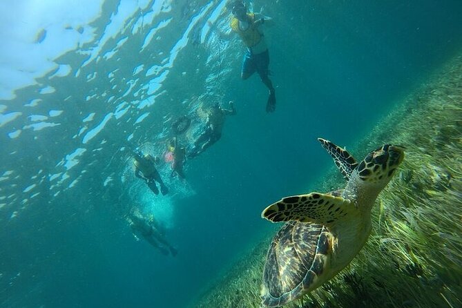 Cancun Combo Adventure: 4 Reef Snorkeling Stops & Parasailing - What Sets This Tour Apart from Others