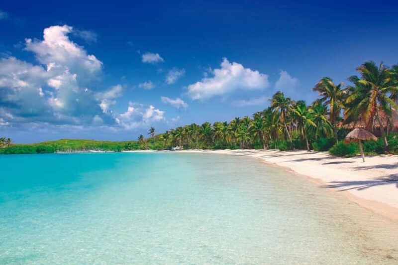 Cancun: Contoy Island & Isla Mujeres with snorkeling and lunch on the beach - Discover the Beauty of Contoy Island & Isla Mujeres in a Full-Day Adventure