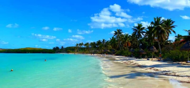 Cancun: Contoy Island & Isla Mujeres with snorkeling and lunch on the beach - Free Time and Photo Opportunities on Contoy