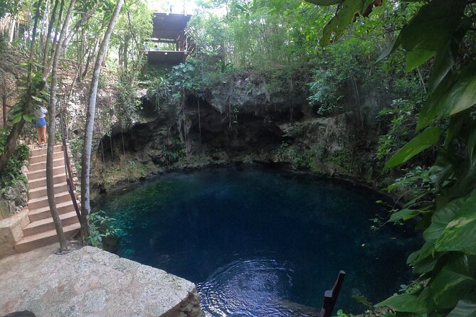 Cancun: Discover the Hidden Treasures: Exploring 3 Jungle Cenotes - Cancun’s Jungle Cenotes: Natural Water Holes Filled with Turquoise Waters
