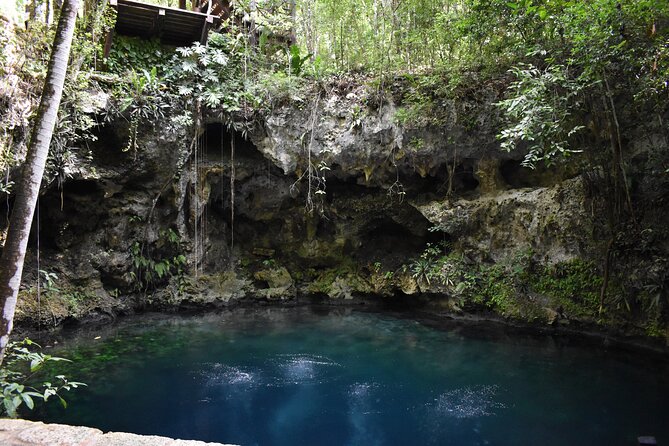 Cancun: Discover the Hidden Treasures: Exploring 3 Jungle Cenotes - Cultural Tasting: Tequila Sampling and Mayan Snacks