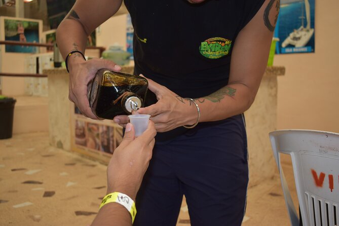 Cancun: Discover the Hidden Treasures: Exploring 3 Jungle Cenotes - Seamless Transportation from Cancun and Riviera Maya