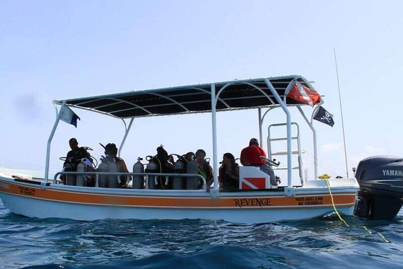 Cancun: Dive Underwater Museum & Manchones Reef - Logistics and Equipment for a Smooth Dive