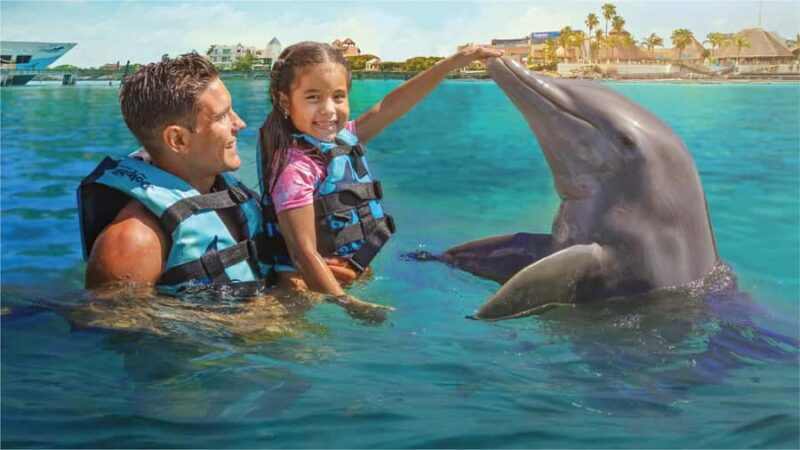 Cancun: Dolphin Connection & Garrafon Reef Park with Buffet - Key Points