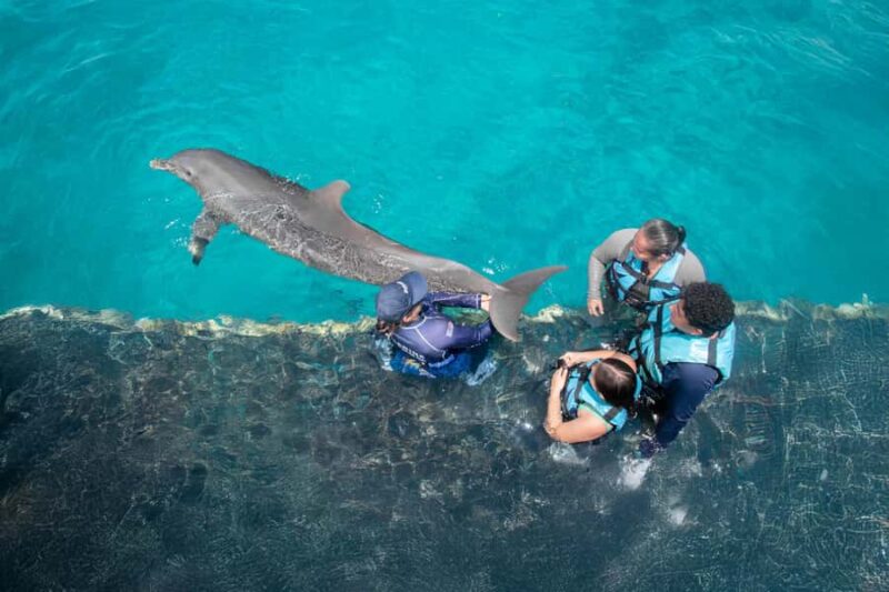 Cancun: Dolphin Connection & Garrafon Reef Park with Buffet - Additional Water Activities at Garrafon Reef Park