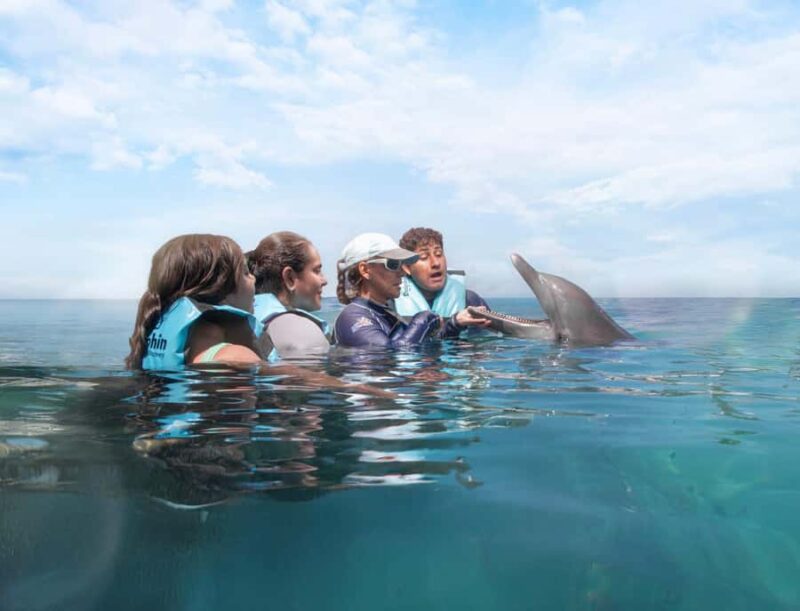Cancun: Dolphin Connection & Garrafon Reef Park with Buffet - Considerations and Restrictions