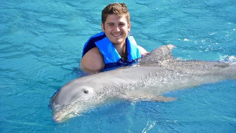 Cancún: Dolphin Encounter on Isla Mujeres with Buffet - Key Points