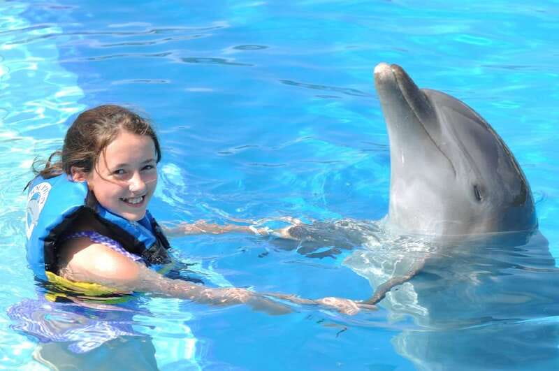 Cancún: Dolphin Encounter on Isla Mujeres with Buffet - Departure from Playa Langosta in Cancún at 9:00 AM