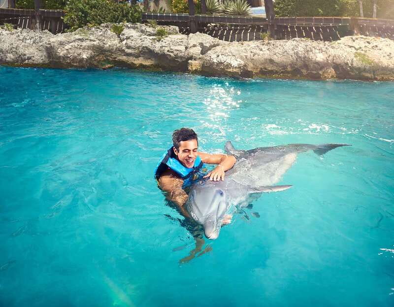 Cancún: Dolphin Encounter on Isla Mujeres with Buffet - Interacting with Dolphins: Handshakes, Hugs, and Underwater Viewing