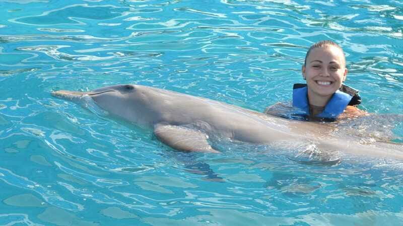 Cancún: Dolphin Encounter on Isla Mujeres with Buffet - Returning to Cancún in the Late Afternoon
