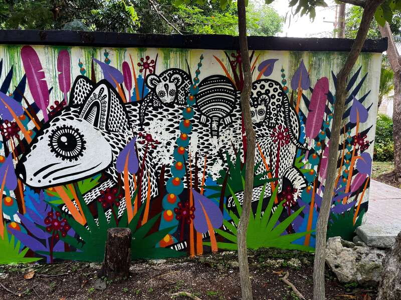 Cancun Downtown Evening Walking Tour - Key Points