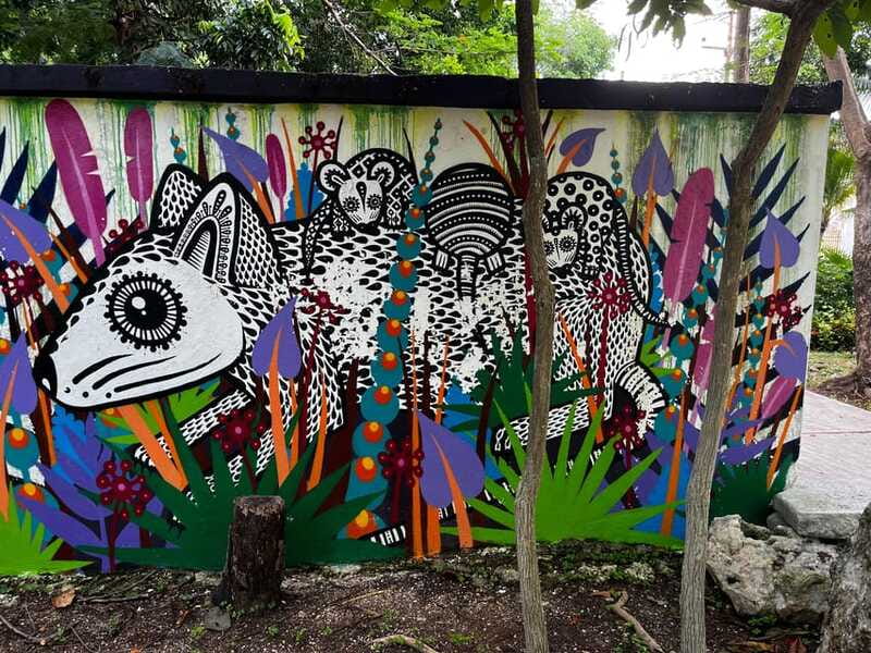 Cancun Downtown Evening Walking Tour - Practical Tips for a Smooth Evening Tour