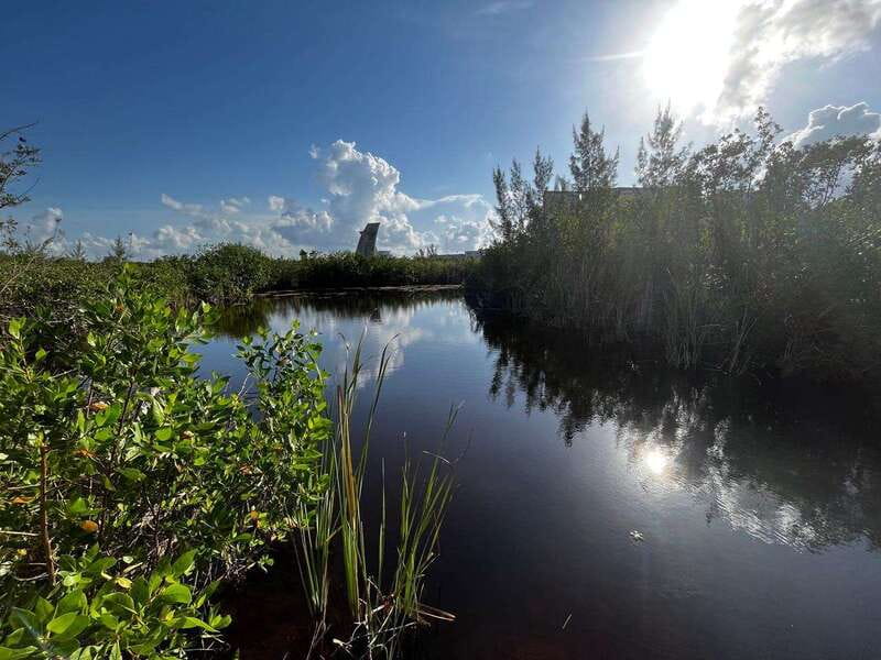 Cancun Downtown Evening Walking Tour - The Benefits of a Guided Night Stroll in Cancun