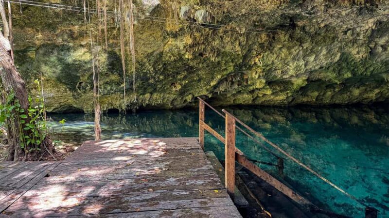 Cancun: Explore Tulum, swim with turtles, and visit a cenote - Discovering a Secluded Cenote on the Yucatán Peninsula