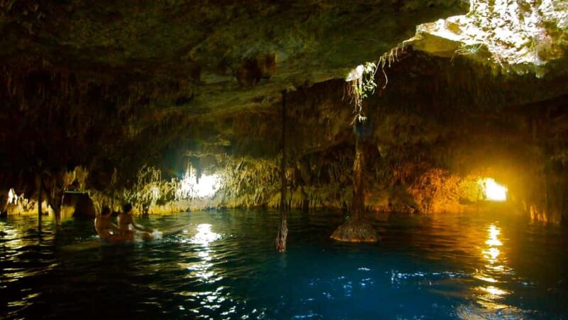 Cancun: Explore Tulum, swim with turtles, and visit a cenote - Practical Logistics and Group Dynamics
