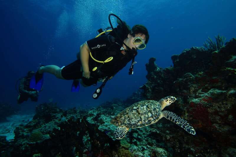 CANCUN: FIRST TIME DIVERS CANCUN - First-Time Scuba Diving Experience in Cancun for $169