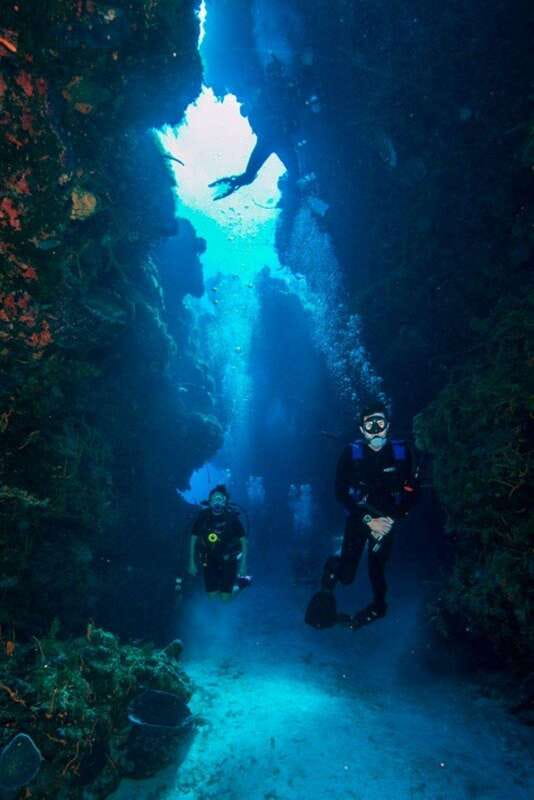 Cancun: Goliat Grouper Dive Adventure - Cancuns Wrecks and Reefs: The First Days Excursions