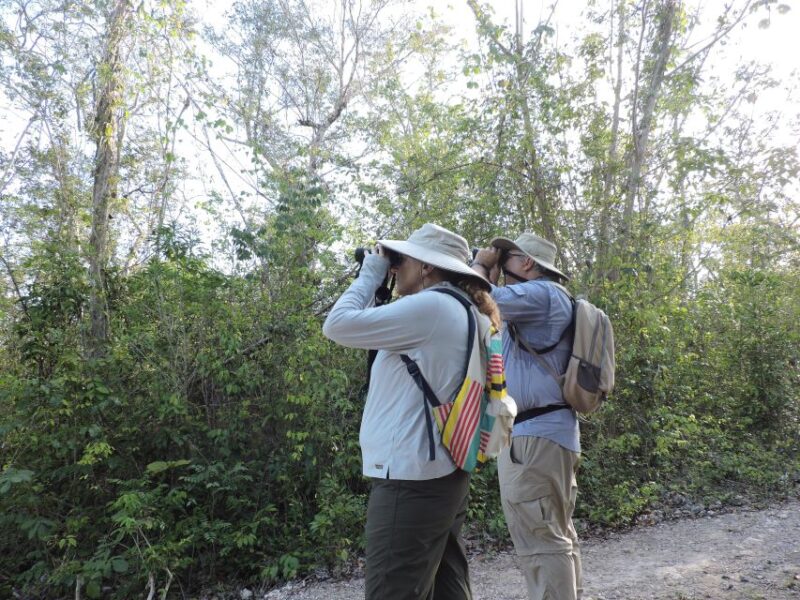 Cancún: Guided Birdwatching Hike - The Guide’s Expertise and Enthusiasm