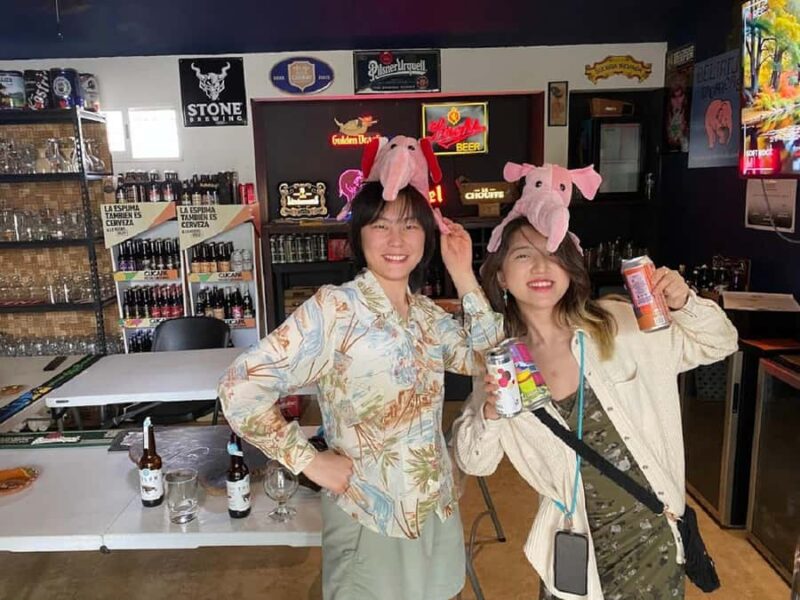 Cancun: Guided Craft Beer Tasting Boutique Experience - Guided Tasting with Expert Insight