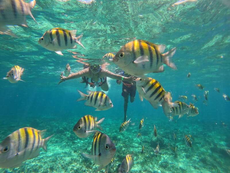 Cancun: Half Day Private Catamaran with Snorkeling. 25 guest - Customizable Itinerary and Contact Options