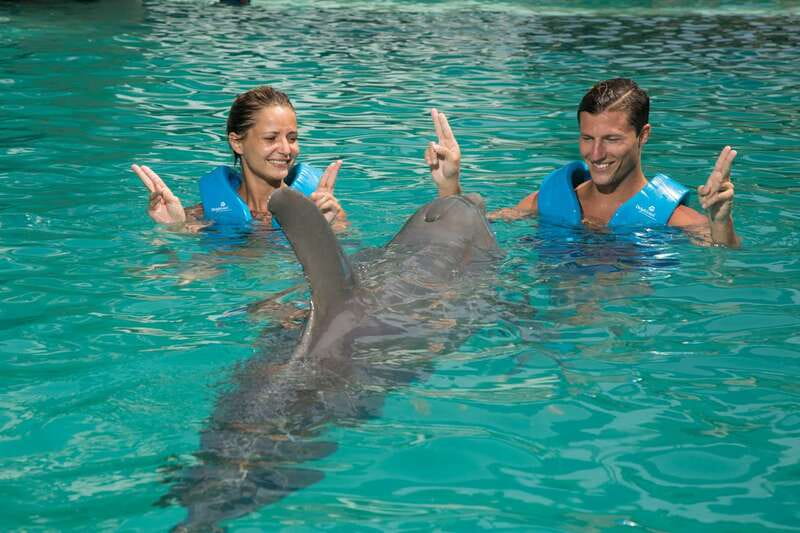Cancun: Interactive Aquarium - Swim with dolphins Premium - Discover the Interactive Aquarium - Swim with Dolphins Premium in Cancun