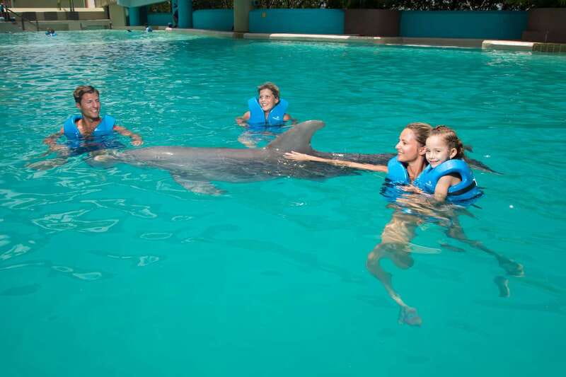 Cancun: Interactive Aquarium - Swim with dolphins Premium - The 15-Minute Briefing and Safety Instructions