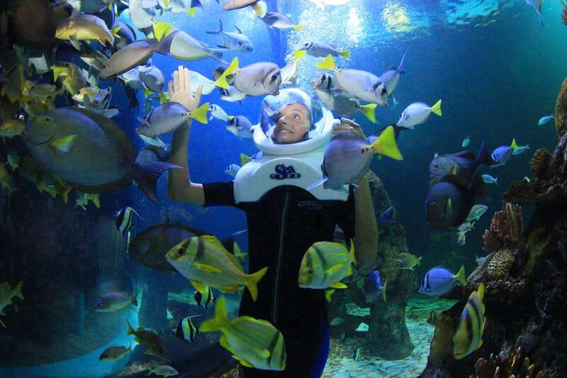 Cancun: Interactive Aquarium - Swim with dolphins Premium - What’s Not Included in This Tour
