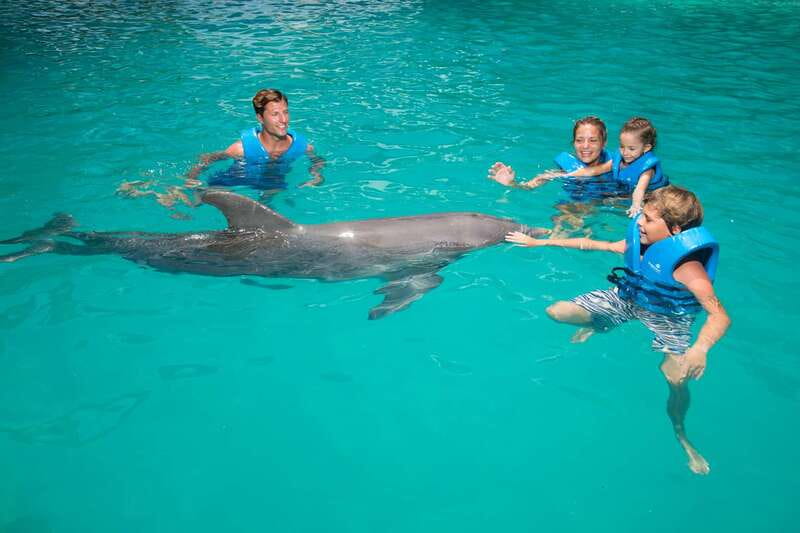 Cancun: Interactive Aquarium - Swim with dolphins Premium - Booking and Cancellation Flexibility