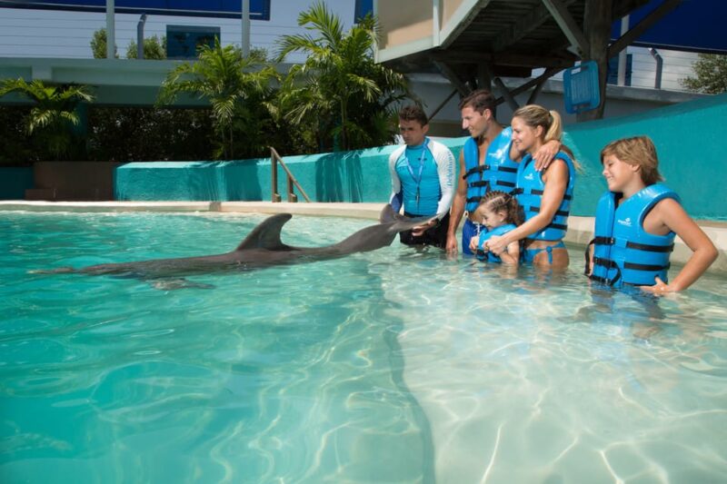 Cancun: Interactive Aquarium - Swim with dolphins Premium - Overall Experience and Recommendations