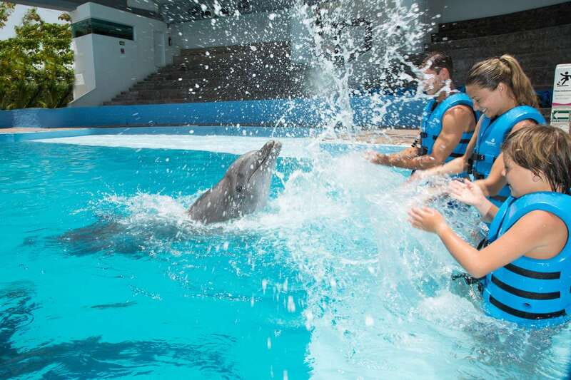 Cancun: Interactive Aquarium - Swim with Dolphins Splash - Discover the Interactive Aquarium in Cancun with a Dolphin Swim Experience for $119