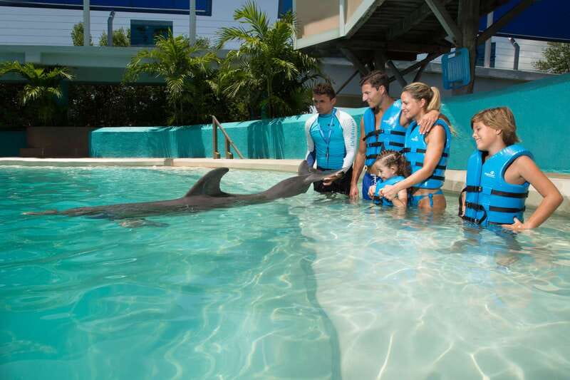 Cancun: Interactive Aquarium - Swim with Dolphins Splash - Key Points