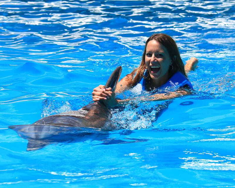 Cancun: Interactive Aquarium Ticket and Swim with Dolphins - Final Thoughts: Is This Tour Right for You?