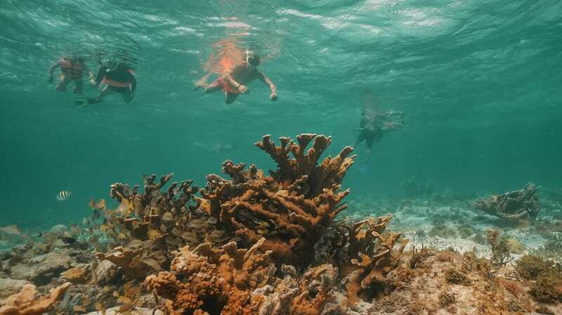 Cancun: Isla Mujeres Adults Only Party Catamaran with Drinks - Land Time at Isla Mujeres