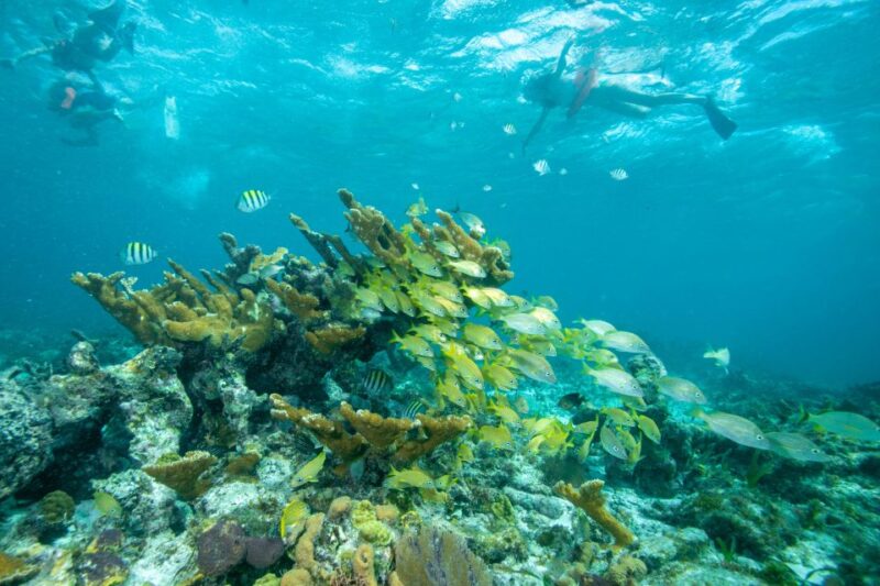 Cancún: Isla Mujeres All-Inclusive Private Catamaran Tour - Practical Details: What’s Included and What to Consider