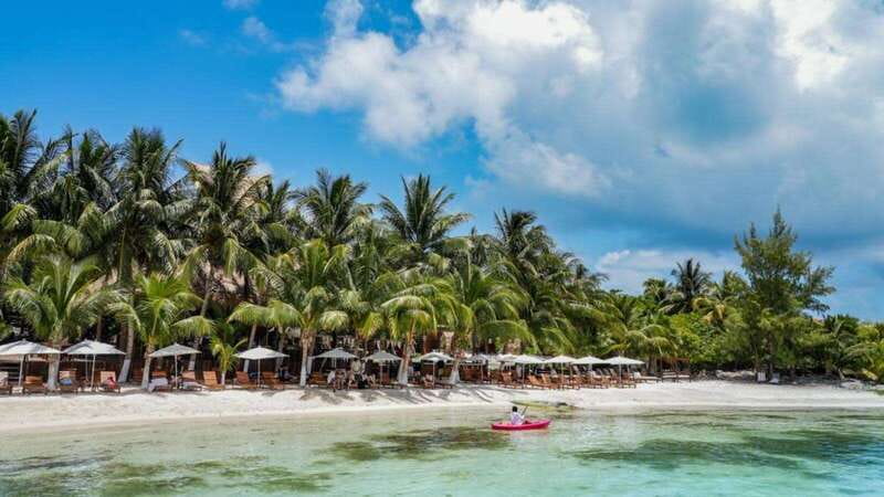 Cancun: Isla Mujeres Catamaran Tour with Open Bar of Drinks - Snorkeling in the Vibrant Reef of the Caribbean Sea