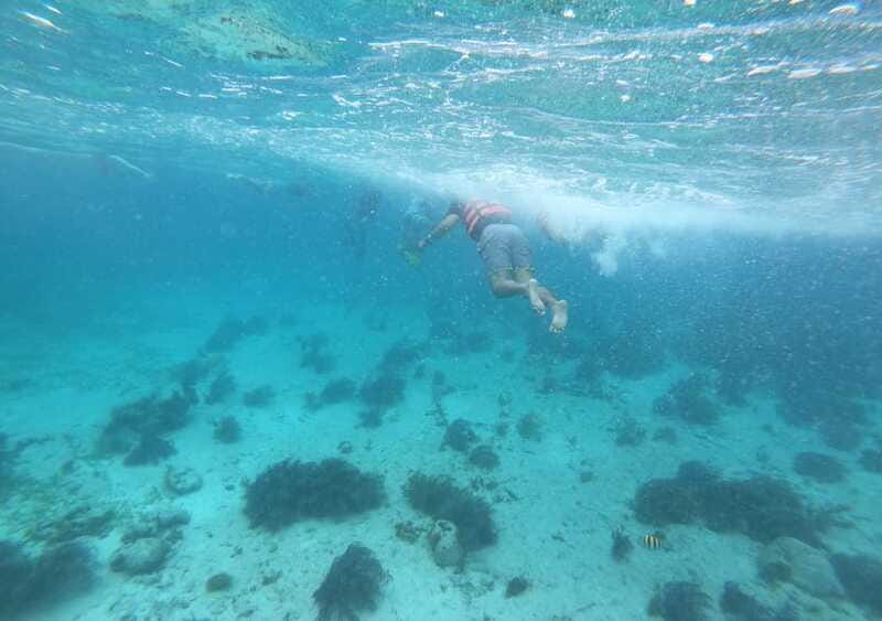 Cancun: Isla Mujeres Catamaran with buffet, drinks & snorkel - Who Will Enjoy This Tour Most