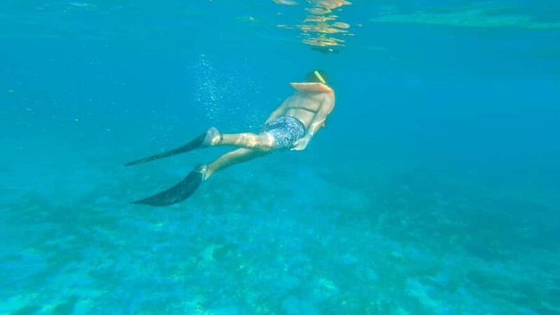 Cancun: Isla Mujeres Full Day Dancer Cruise - Starting Point and Convenient Meeting Location