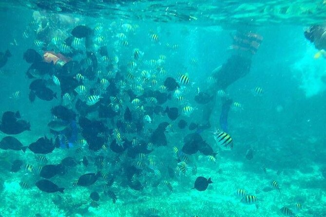 Cancun Jetski and Snorkel Adventure - Key Points