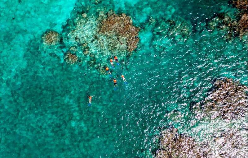 Cancun: Jungle Tour Adventure with Speedboat and Snorkeling - Starting Point at Puerto Maya Cancún