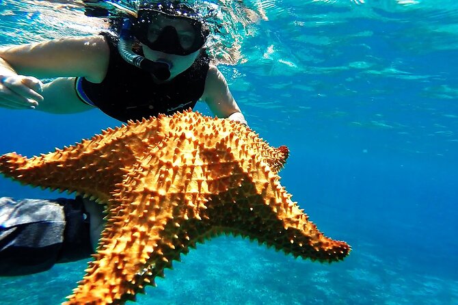 Cancun Jungle Tour with Speedboat and Snorkeling - Safety and Guidance from Certified Guides