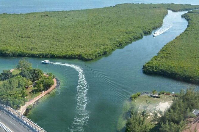 Cancun Jungle Tour with Speedboat and Snorkeling - Snorkeling at Cancun’s Beautiful Reef