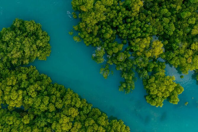 Cancun Jungle Tour with Speedboat and Snorkeling - Facilities, Equipment, and Additional Costs